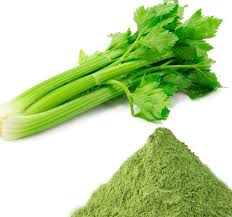 Freeze Dried Celery Powder