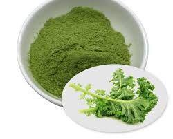 Freeze Dried Kale Powder